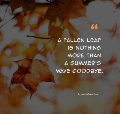 Best Funny Fall Quotes