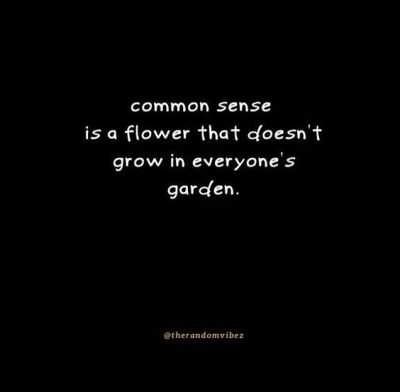 Funny Common Sense Quotes