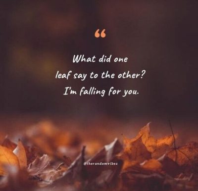 Funny Fall Quotes