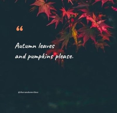 Funny Fall Sayings