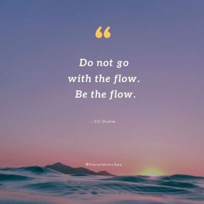 Go With The Flow Quotes