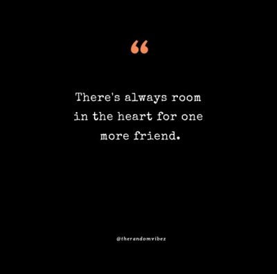 New Friends Quotes Pictures
