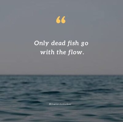 dead fish go with the flow quotes