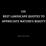 120 Best Landscape Quotes To Appreciate Nature's Beauty