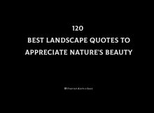 120 Best Landscape Quotes To Appreciate Nature's Beauty