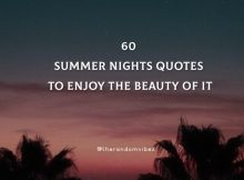 60 Summer Nights Quotes To Enjoy The Beauty Of It