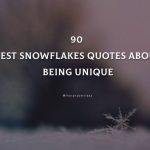 90 Best Snowflakes Quotes About Being Unique