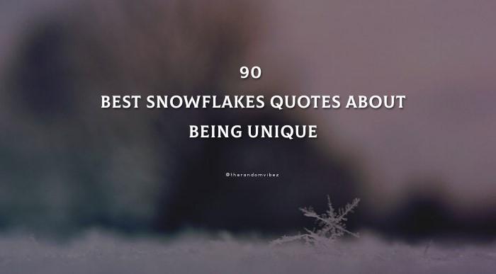 90 Best Snowflakes Quotes About Being Unique