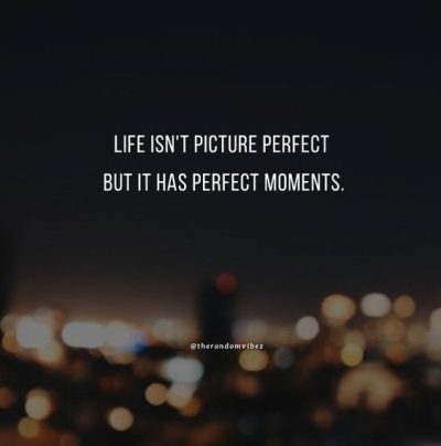 Picture Perfect Quotes For Instagram