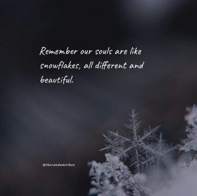 Snowflake Quotes