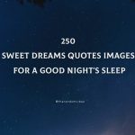 Sweet Dreams Quotes Images For A Good Night's Sleep