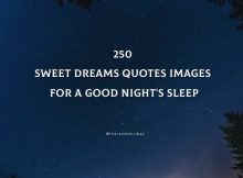Sweet Dreams Quotes Images For A Good Night's Sleep