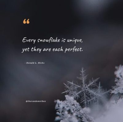 snowflake unique quote