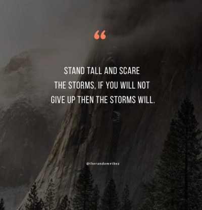 stand tall stand strong quotes