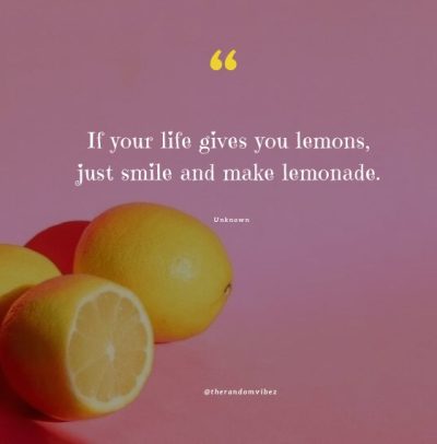 when life gives you lemons make lemonade