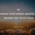 65 Spread Your Wings Quotes To Inspire You To Fly High