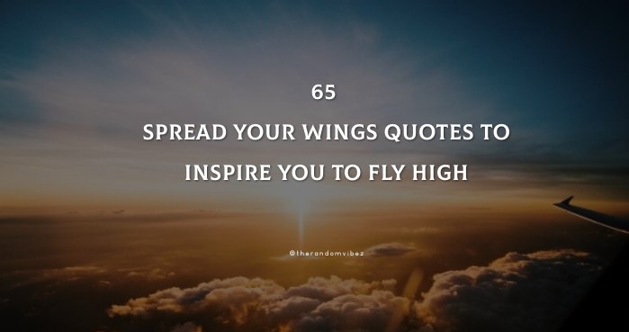 65 Spread Your Wings Quotes To Inspire You To Fly High