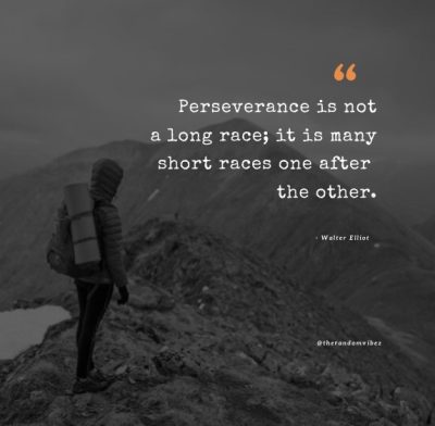 motivational quotes about hard work and perseverance