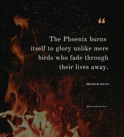 phoenix bird quotes