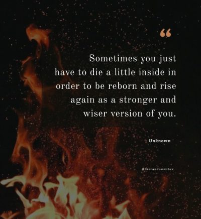 phoenix quotes