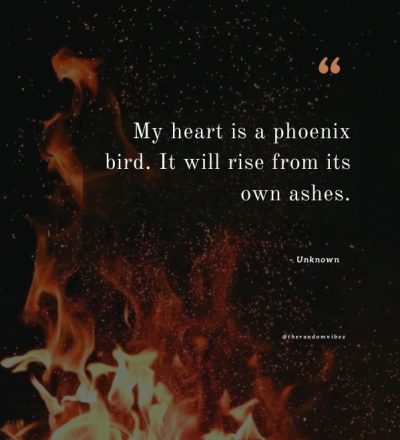 phoenix rising quotes