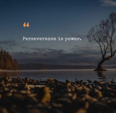 strength perseverance quotes