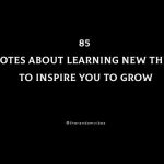 85 Quotes About Learning New Things To Inspire You To Grow