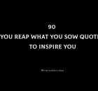 90 You Reap What You Sow Quotes To Inspire You