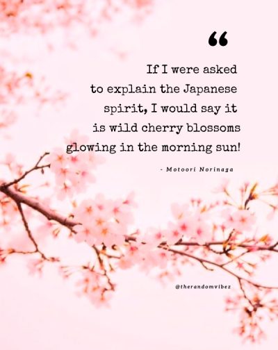 Cherry Blossom Quotes