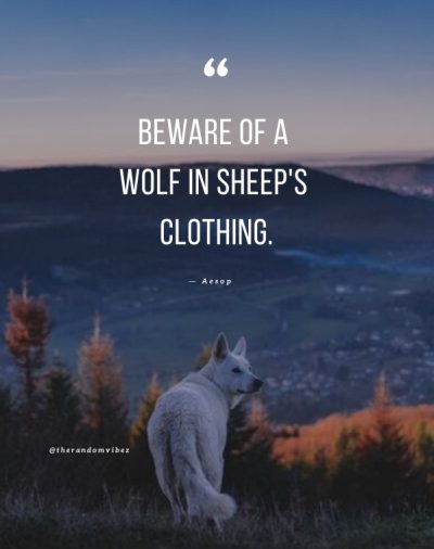 Wolf In Sheep's Clothing quotes