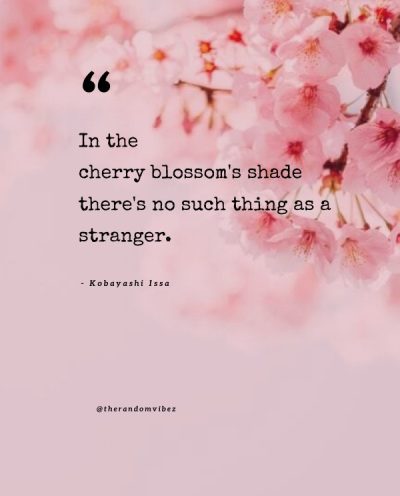 cherry blossom inspirational quotes