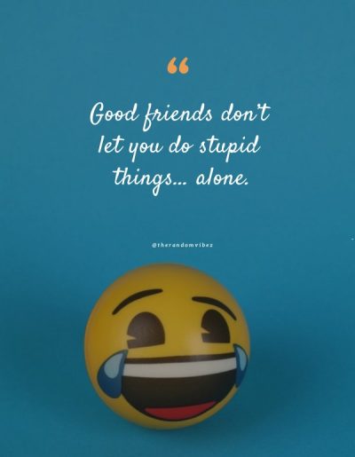 crazy funny friendship quotes