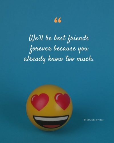 funny friendship quotes memes