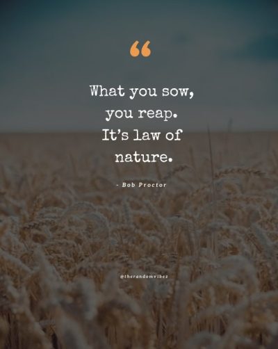 reap what you sow quotes