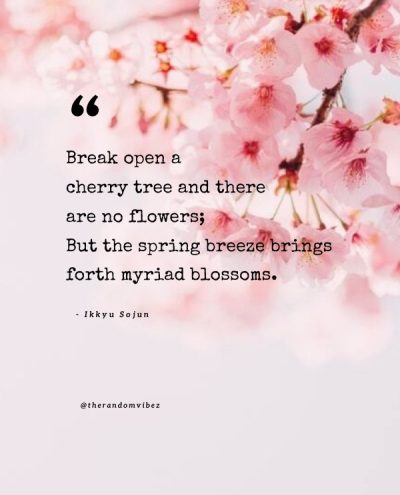 sakura quotes