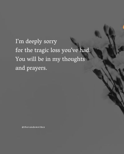 sorry for your loss quotes images