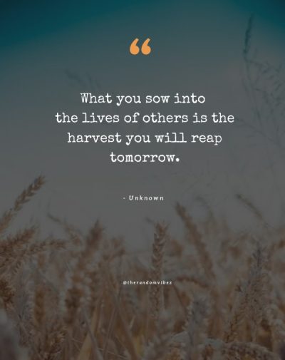 you reap what you sow quotes