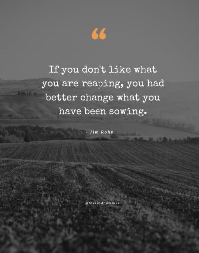 you reap what you sow quotes images