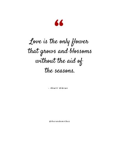 Love Grows Quotes Images