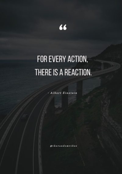 every action has a reaction quote
