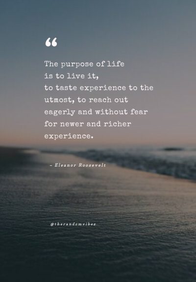 the purpose of life quote eleanor roosevelt