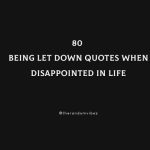 80 Being Let Down Quotes When Disappointed In Life