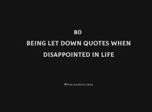 80 Being Let Down Quotes When Disappointed In Life
