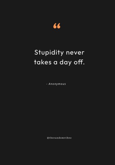 Funny Stupid Quotes
