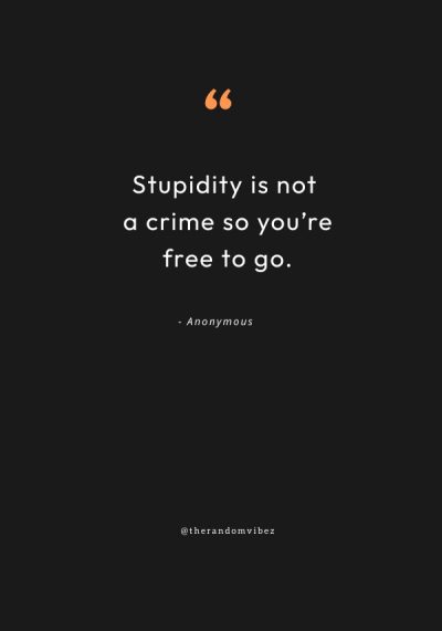 Sarcastic Quotes on stupidity