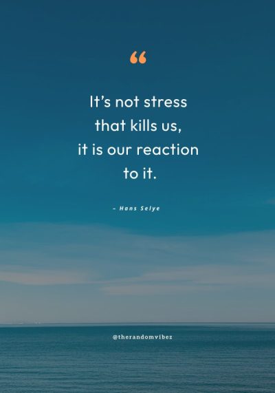 stress quotes