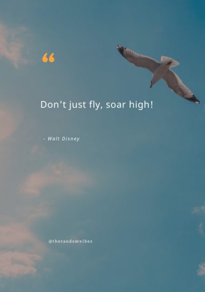 Soar Quotes