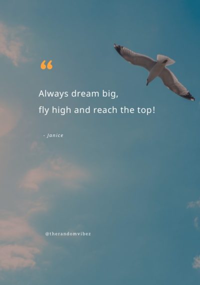 fly high quotes images