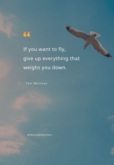 fly high soar high quotes 