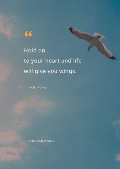 fly higher quotes
